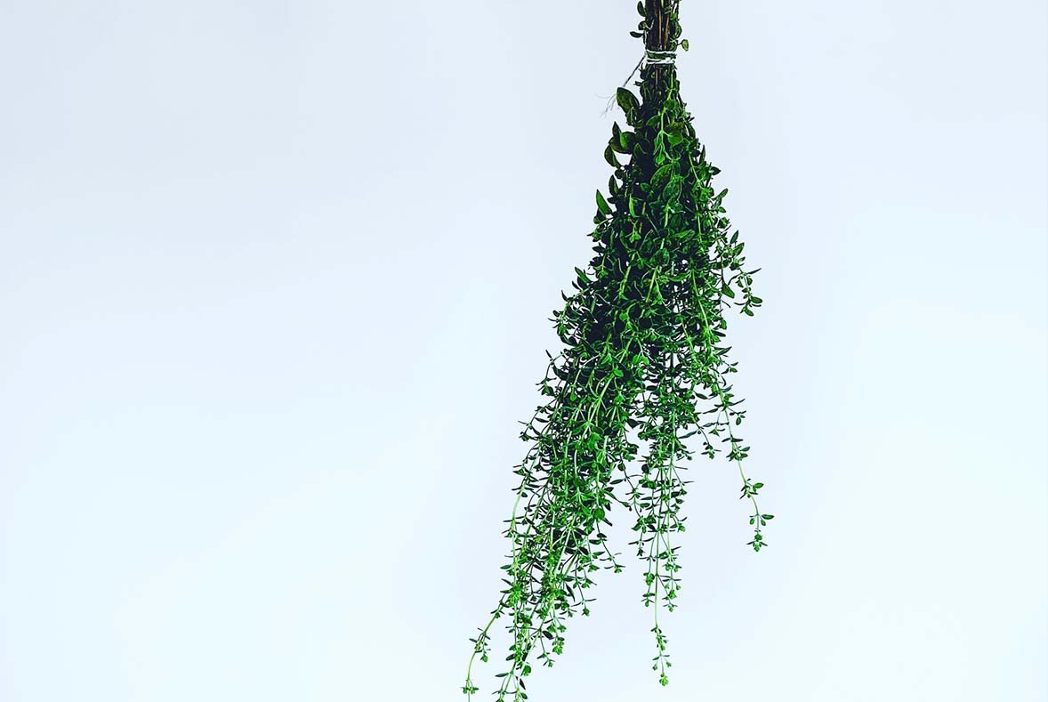 How to Hang Dry Herbs + Flowers Blendily