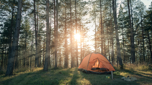 What to pack for your next camping trip?
