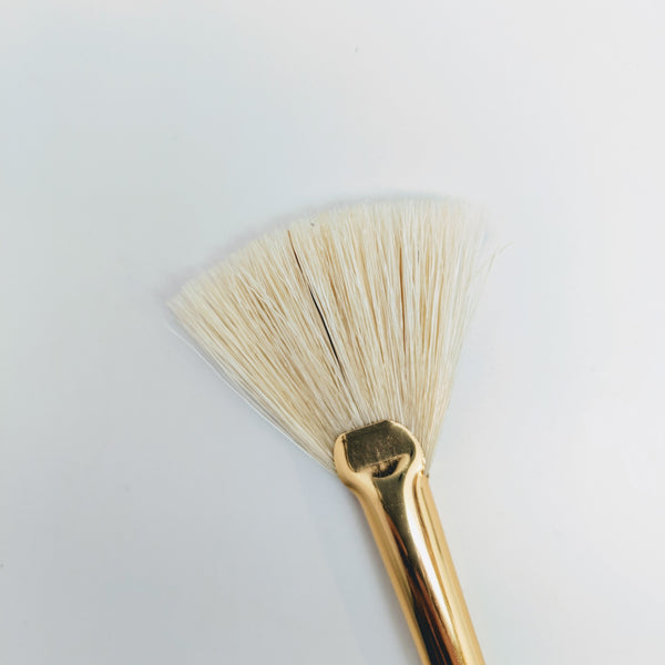 Facial Cosmetic Fan Brush