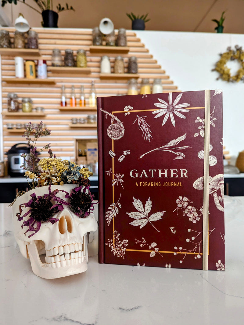 Gather: Foraging Journal